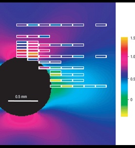 Morpheus materials